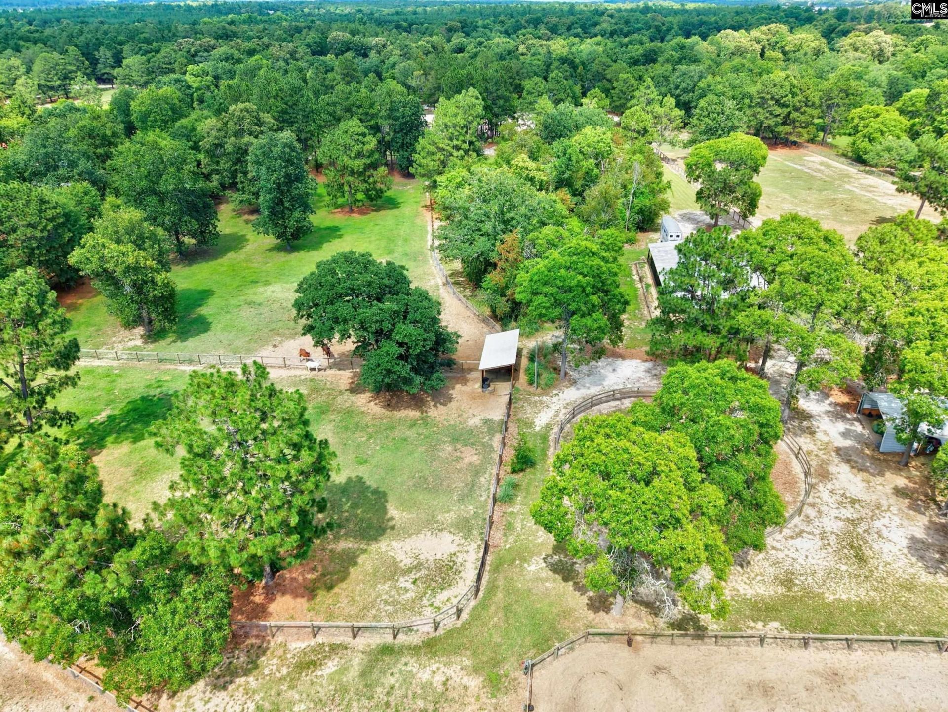 1377 Pine Road  Photo 25