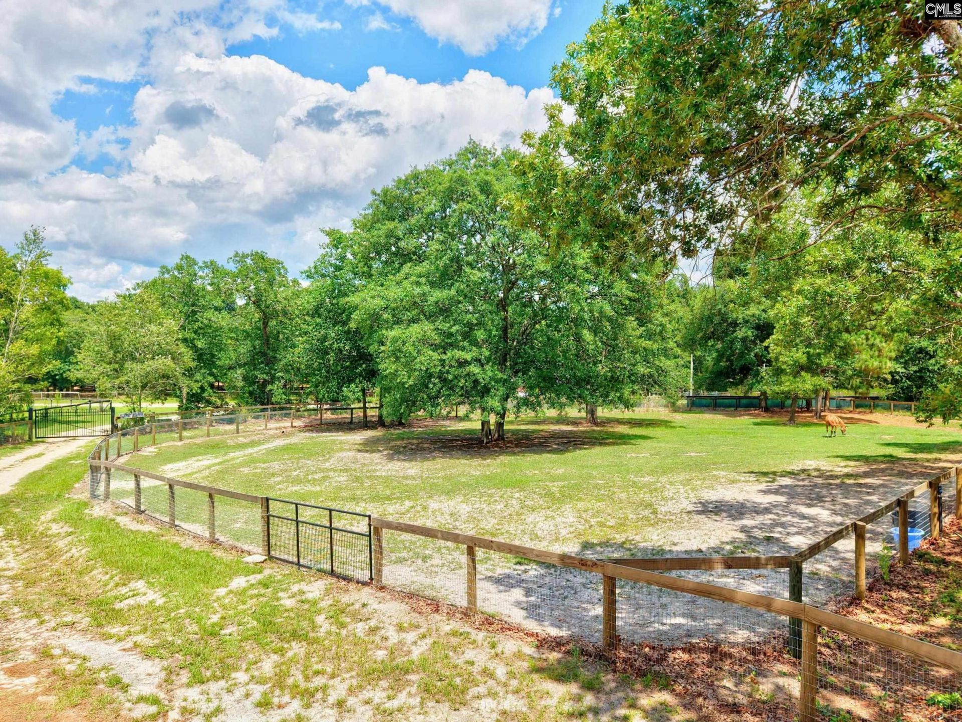 1377 Pine Road  Photo 28