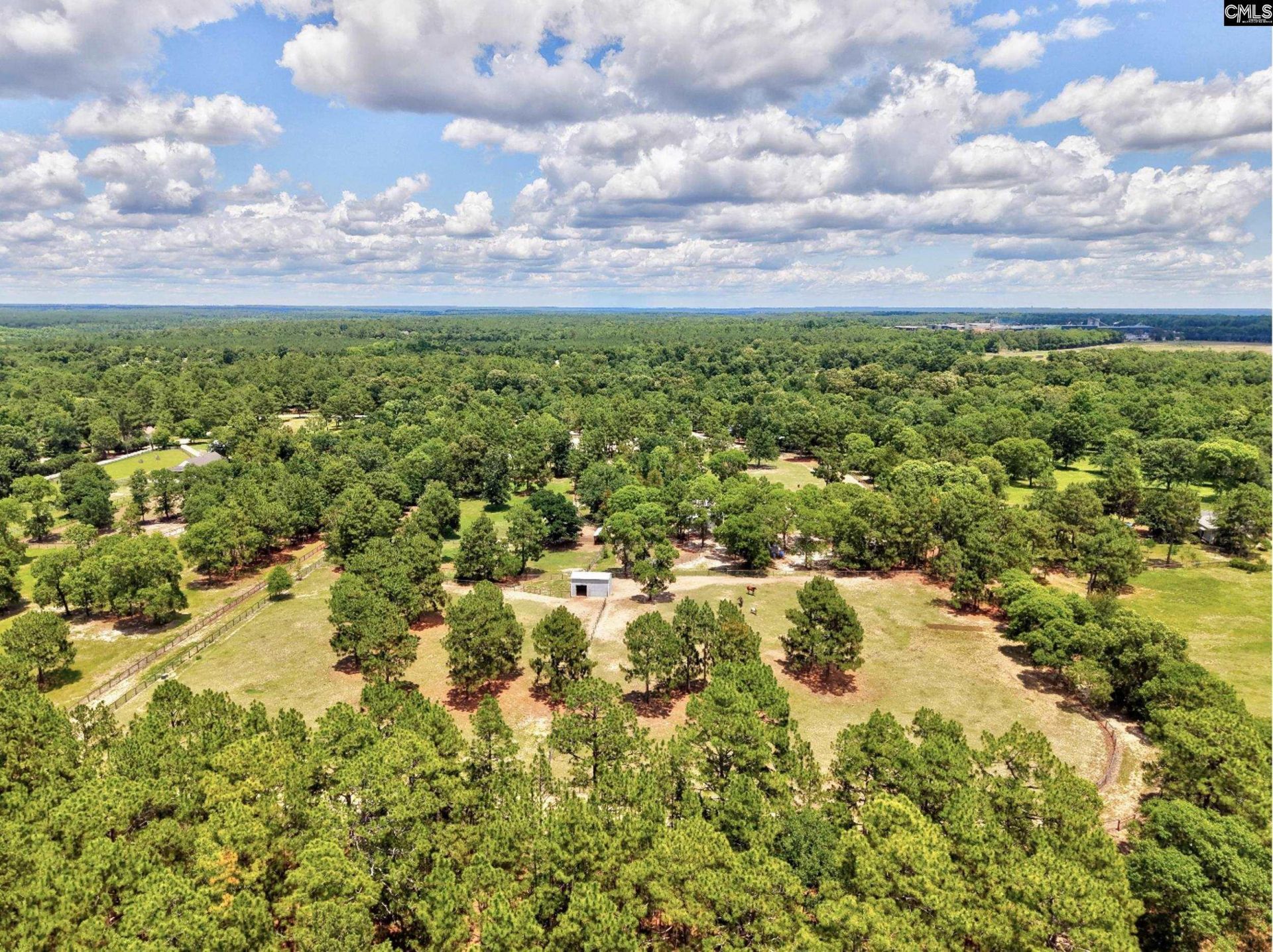 1377 Pine Road  Photo 30
