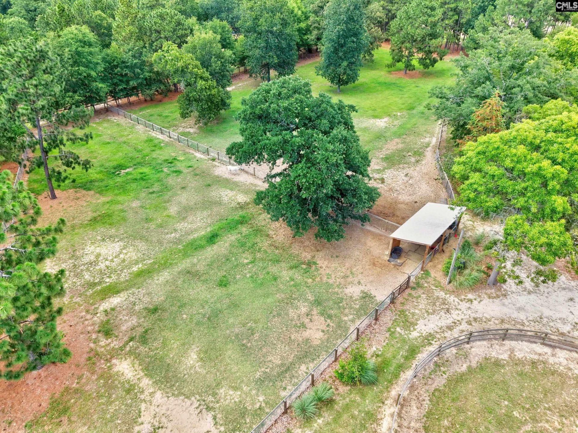 1377 Pine Road  Photo 31