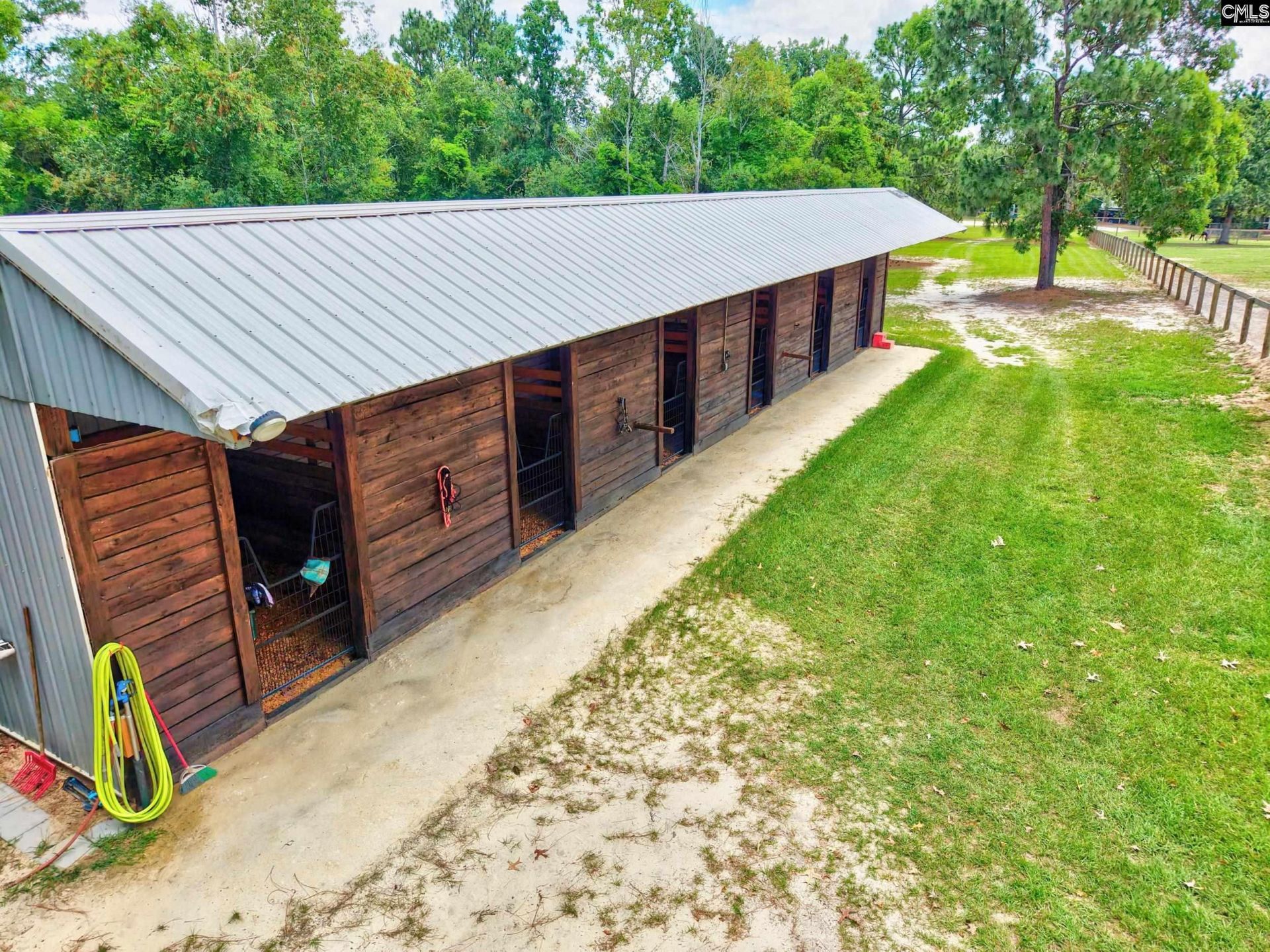 1377 Pine Road  Photo 6