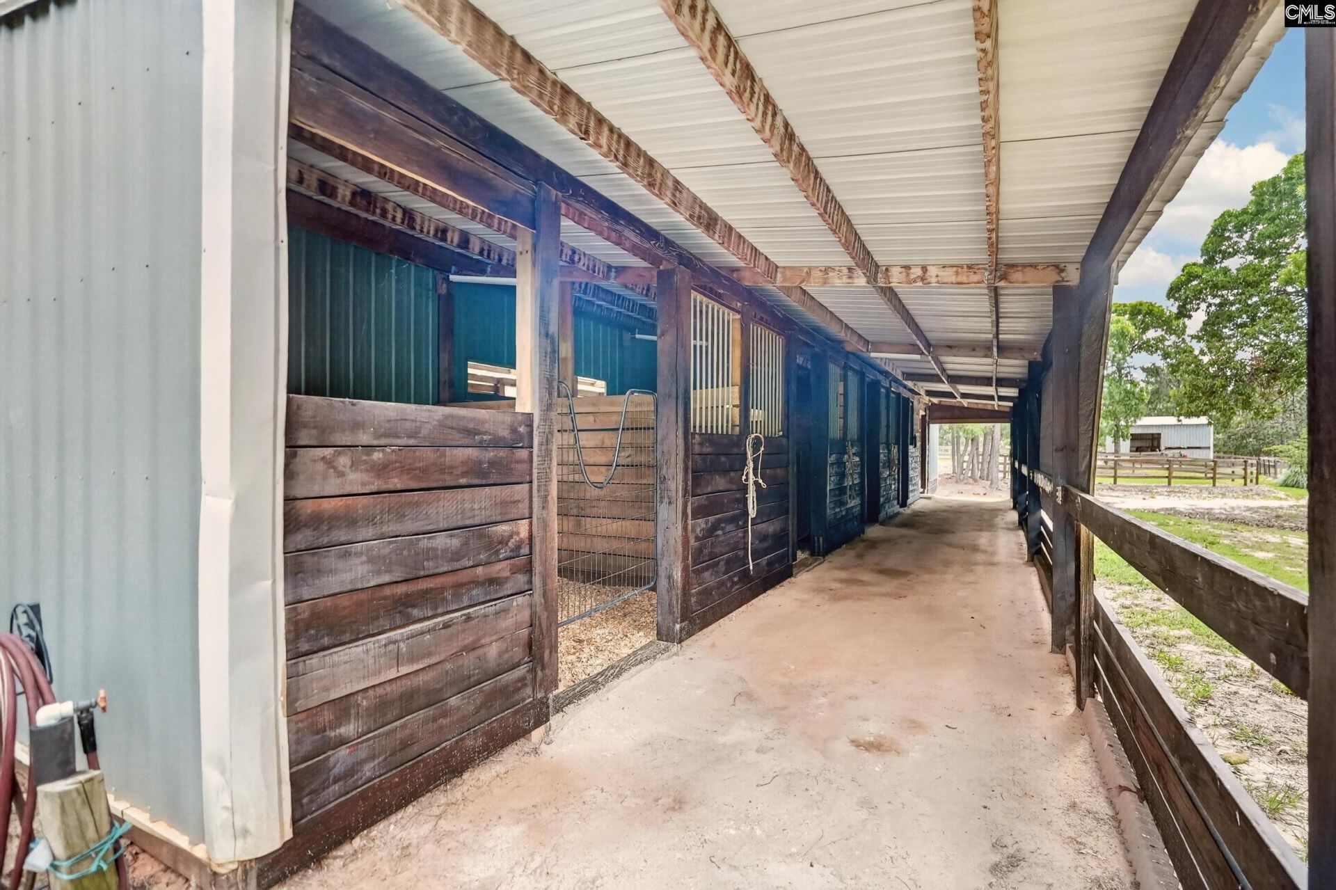 1377 Pine Road  Photo 9
