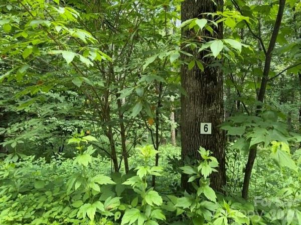 Lot 6 Gadohi Trail, Maggie Valley, NC 28751