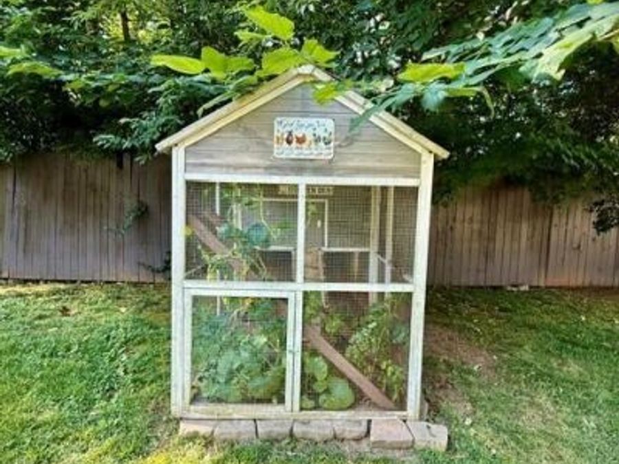 Property Image 26
