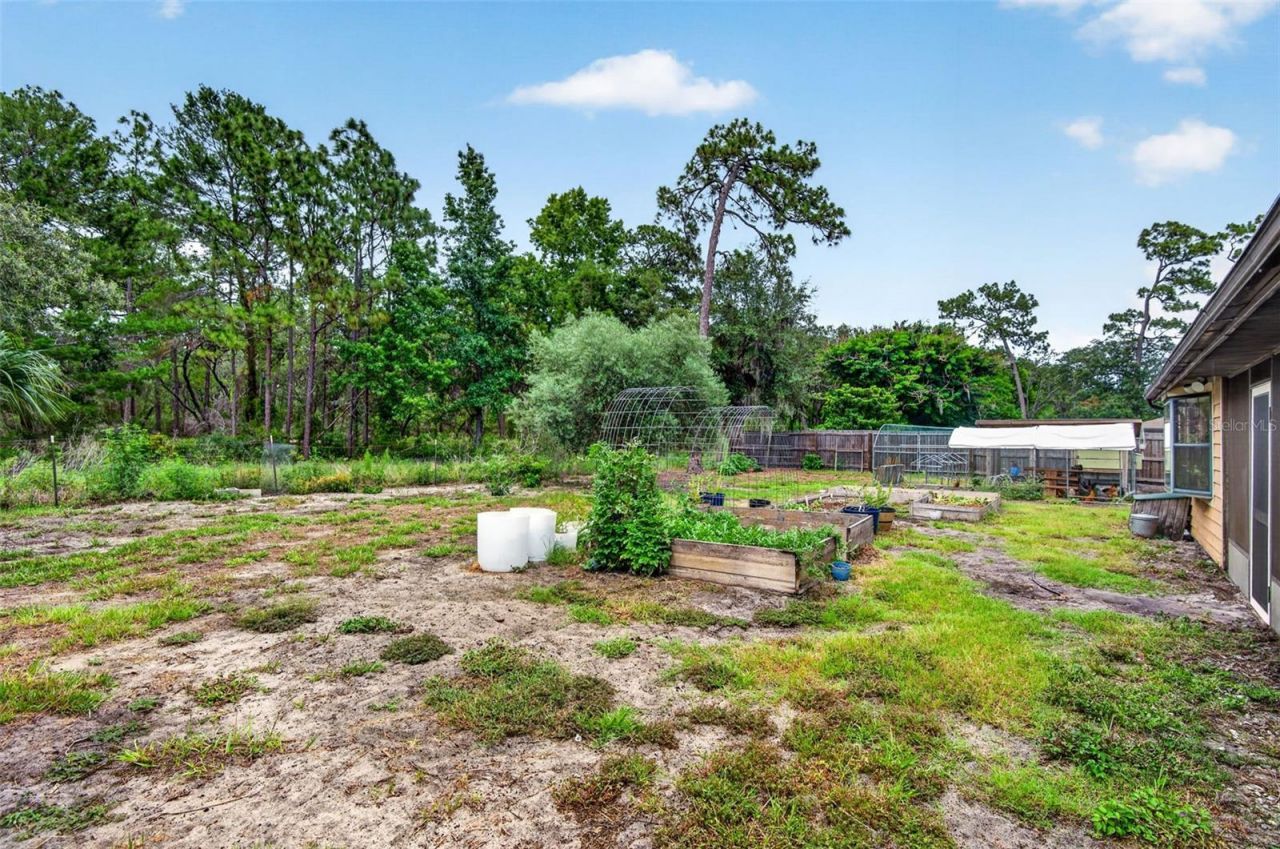 11037 Gifford Dr , Spring Hill, FL 34608 Photo