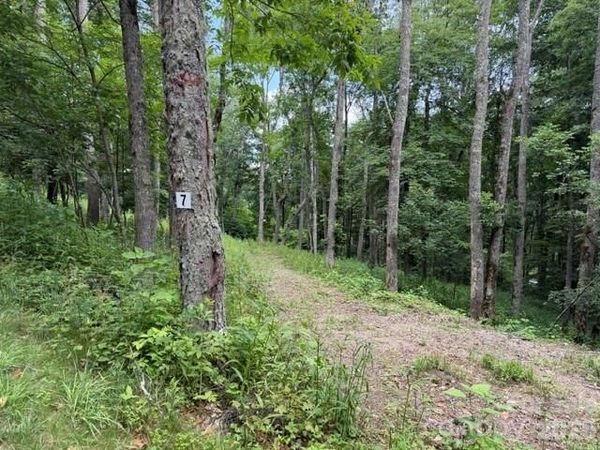 Lot 7 Gadohi Trail , Maggie Valley, NC 28751