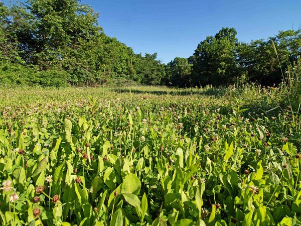 76 acres Skyline Road, Blue River, WI 53518