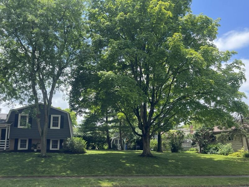 1943 Greensboro Drive, Columbus, OH 43220 Photo 45