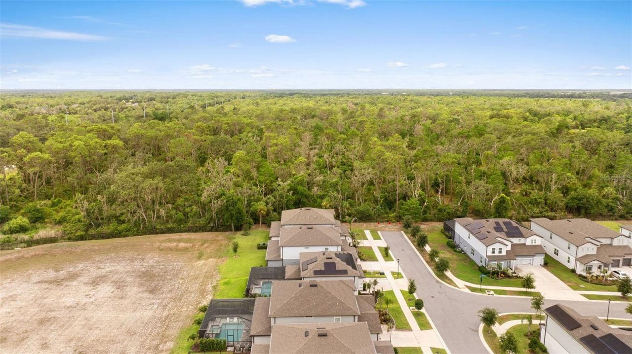 11490 Calusa Trails Way, Riverview, FL 33569 Photo