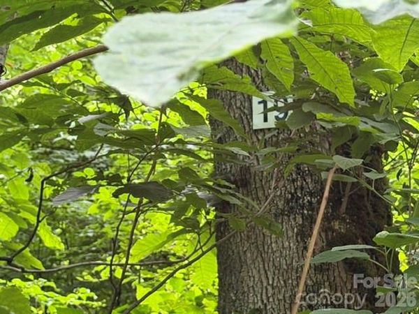 Lot 19 Iga Trail , Maggie Valley, NC 28751