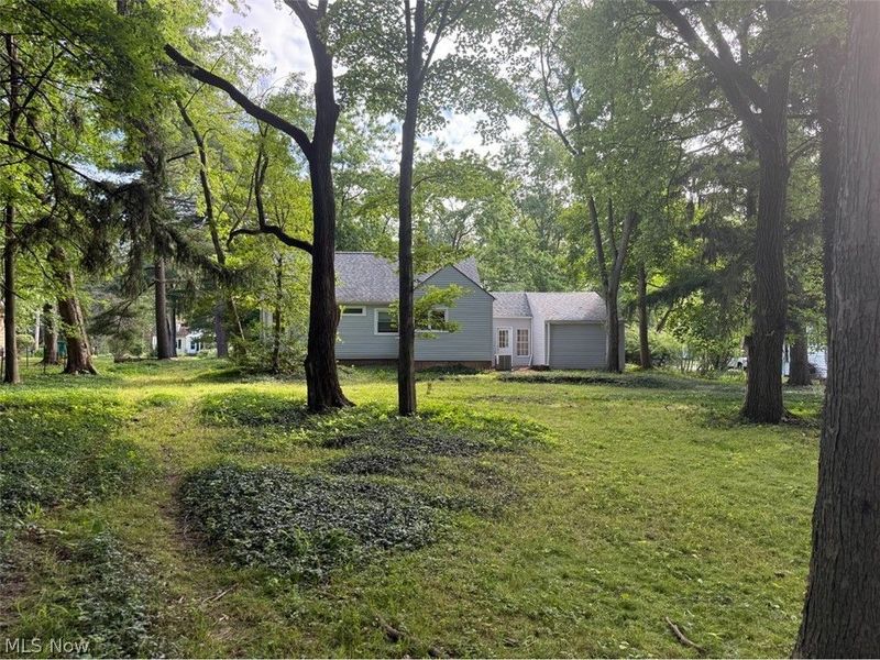 441 Douglas Boulevard, Richmond Heights, OH 44143 Photo 3