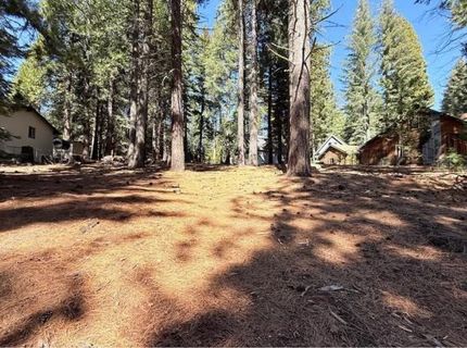 616 Deep Forest Trail, Lake Almanor, CA 96137 Photo