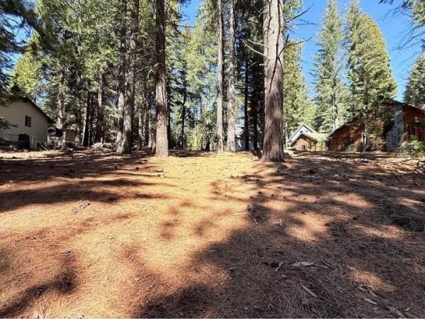 616 Deep Forest Trail, Lake Almanor, CA 96137