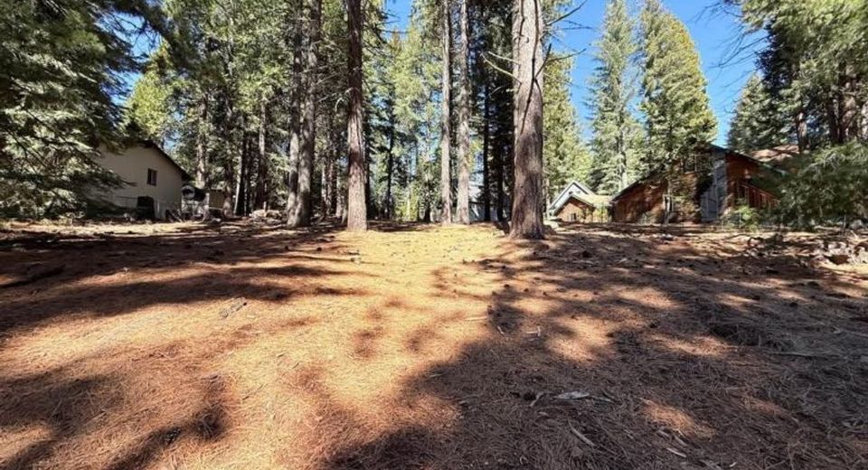 616 Deep Forest Trail, Lake Almanor, CA 96137 Photo
