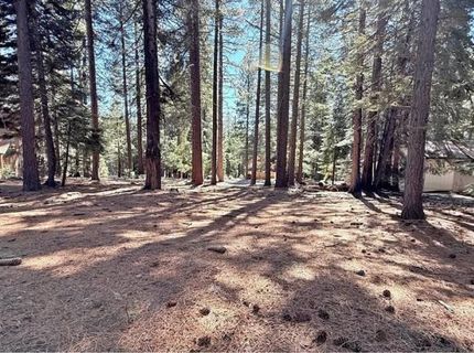 616 Deep Forest Trail, Lake Almanor, CA 96137 Photo
