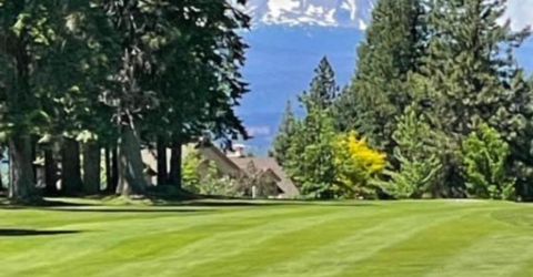 616 Deep Forest Trail, Lake Almanor, CA 96137 Photo