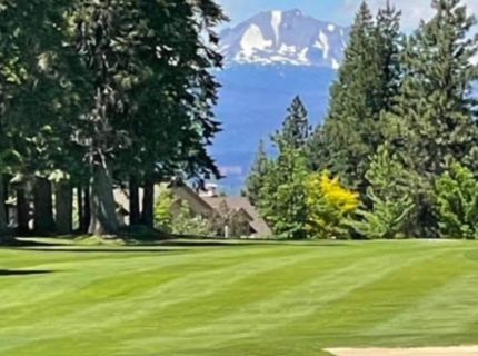 616 Deep Forest Trail, Lake Almanor, CA 96137 Photo