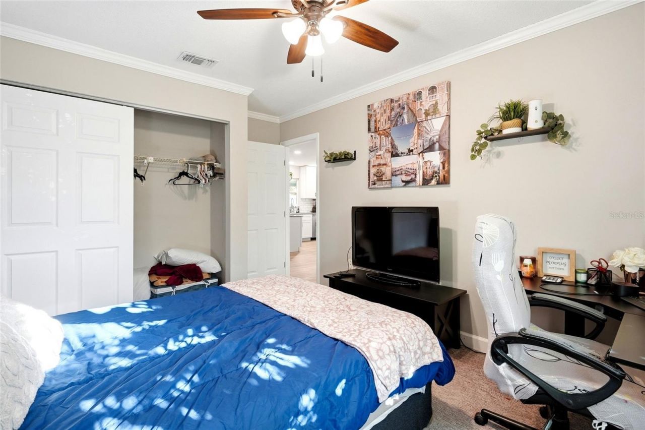 2310 29th Street N, Saint Petersburg, FL 33713 Photo