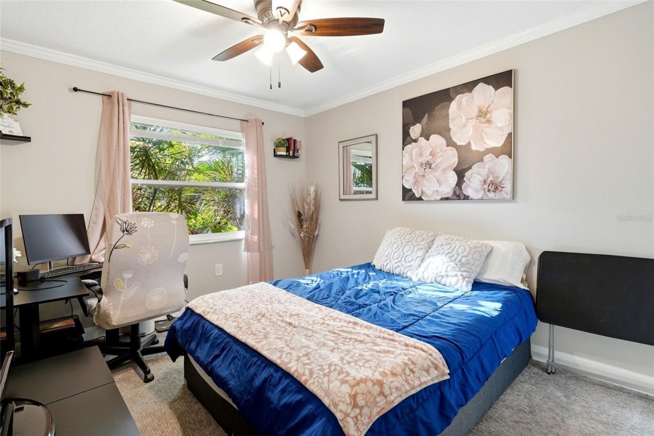 2310 29th Street N, Saint Petersburg, FL 33713 Photo