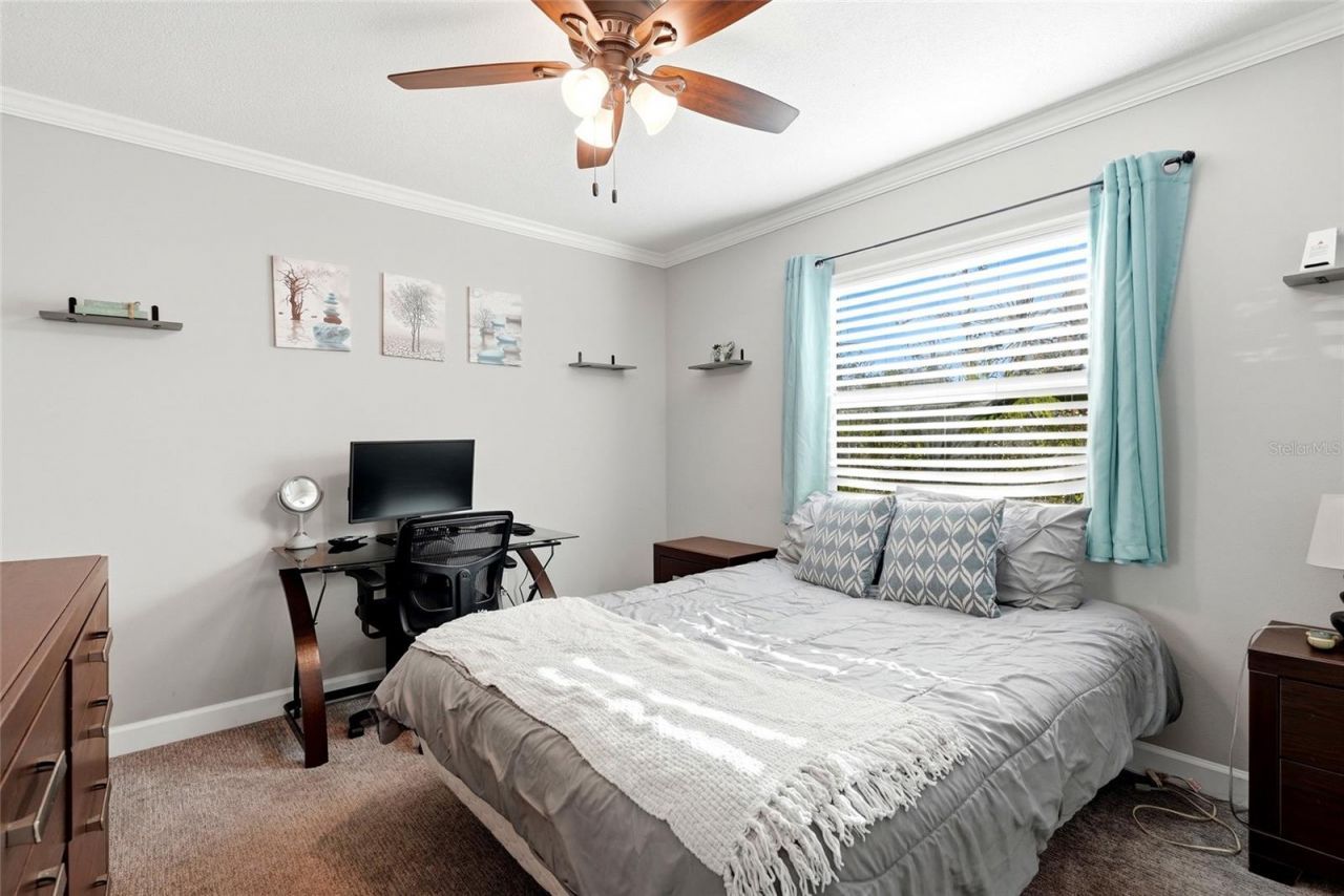 2310 29th Street N, Saint Petersburg, FL 33713 Photo