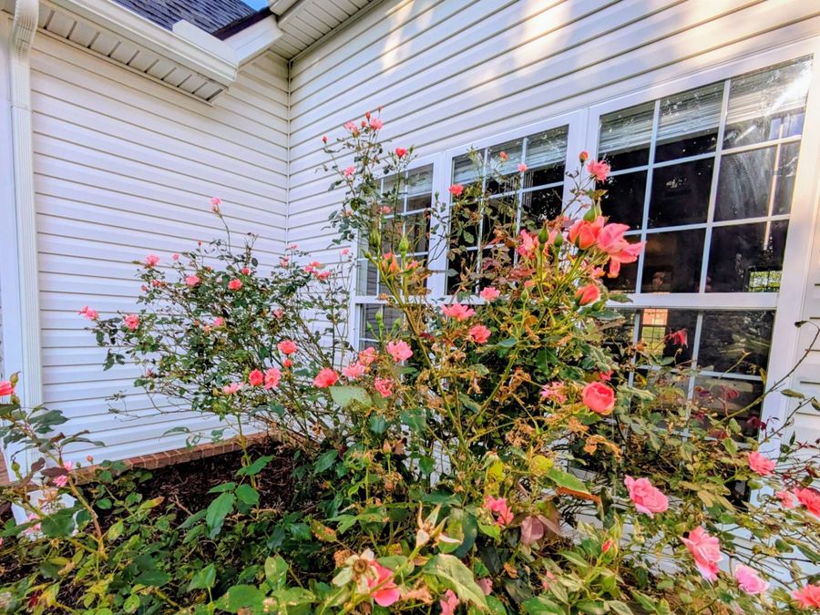 Property Image 58