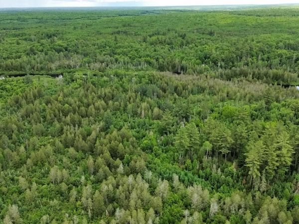 40 Acres Off Wide Waters Road, Hematite Twp, MI 49902