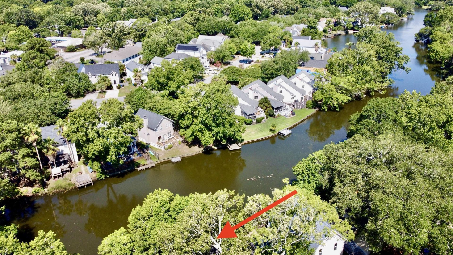 781 Lake Frances Drive Photo 68