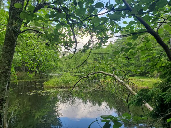 Lot #36 Beaver Brook Road , Limerick, ME 04048