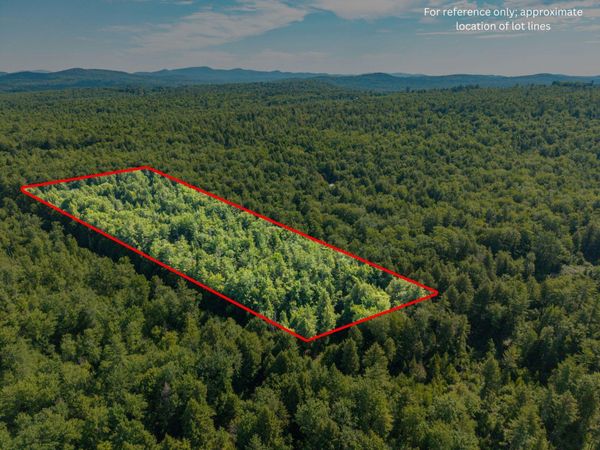 129 Hobbs Swamp Road , Parsonsfield, ME 04047
