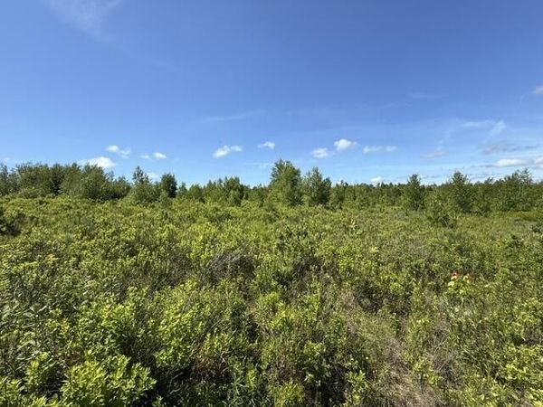 Map10LotP 214 , Meddybemps, ME 04657