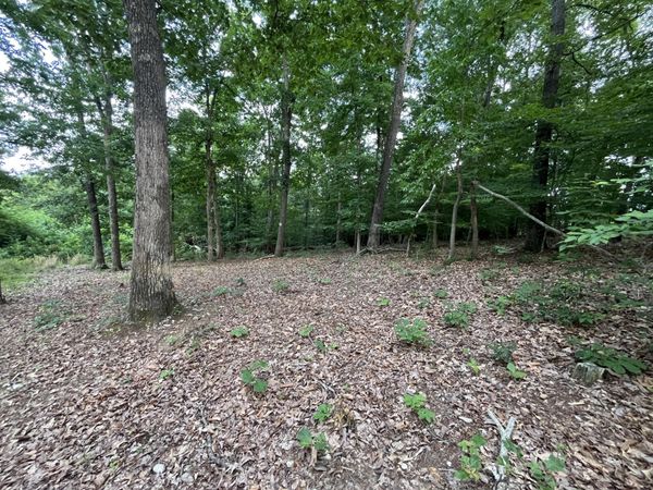 3278 Hillside Road, White Pine, TN 37890
