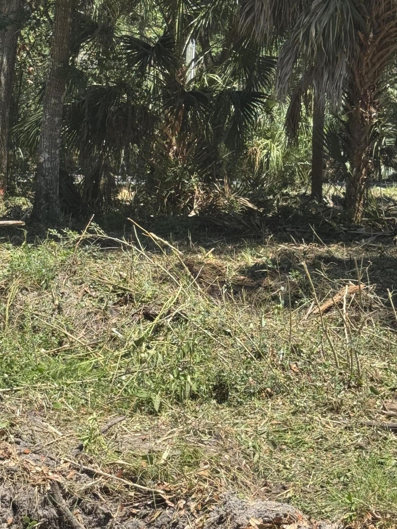 609 Jungle Road Photo 4