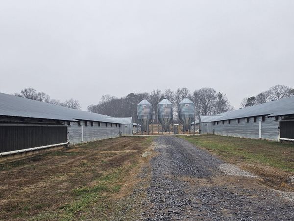 313 Ed Cross Road SE, Cleveland, TN 37323