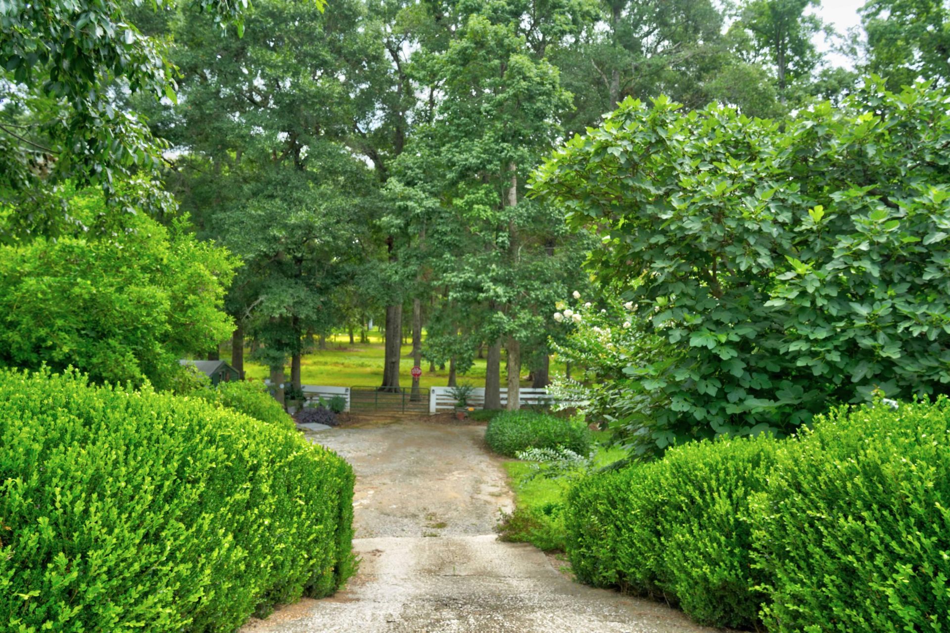 118 Sellars Circle Photo 32