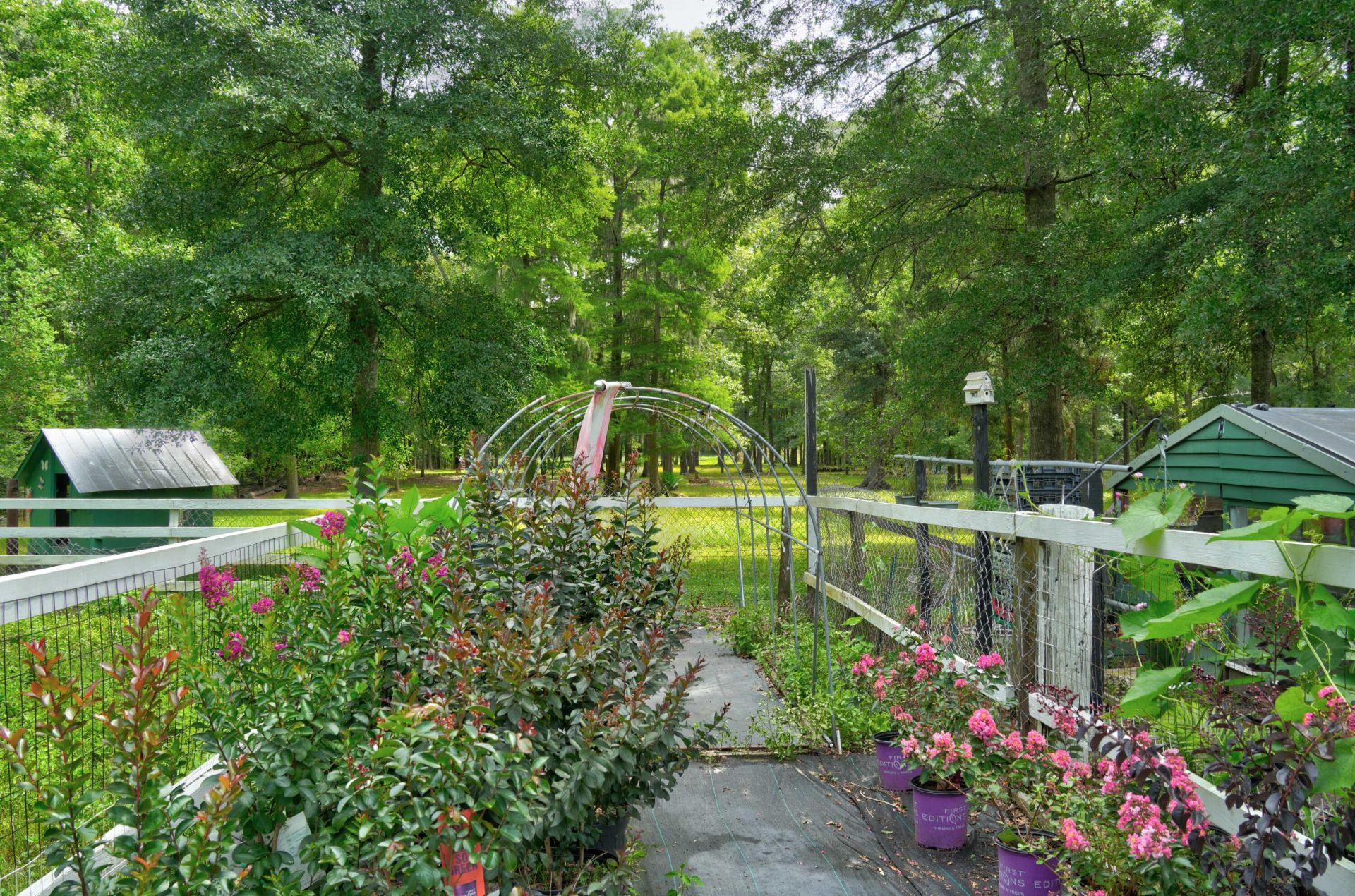 118 Sellars Circle Photo 39
