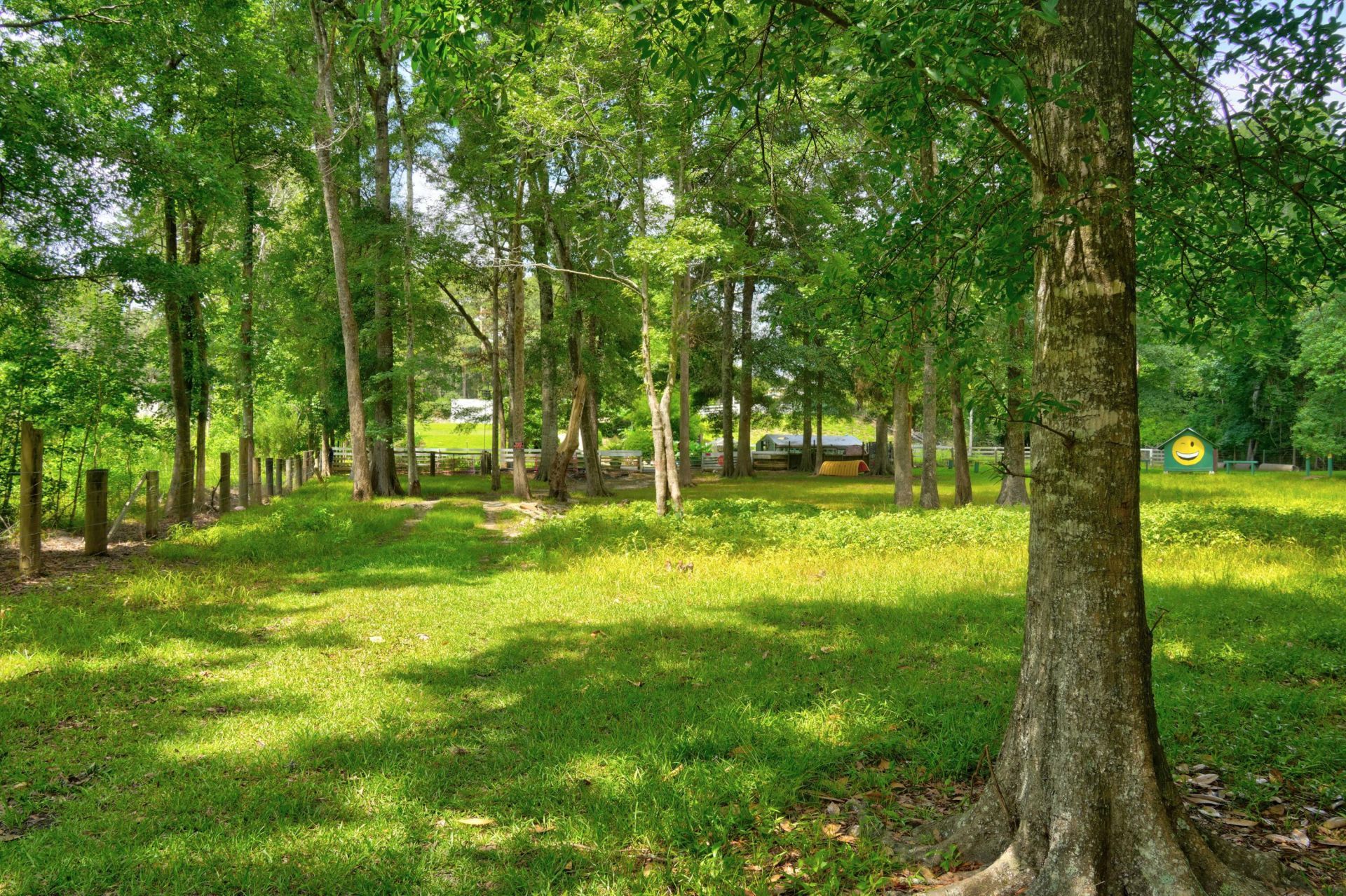 118 Sellars Circle Photo 48