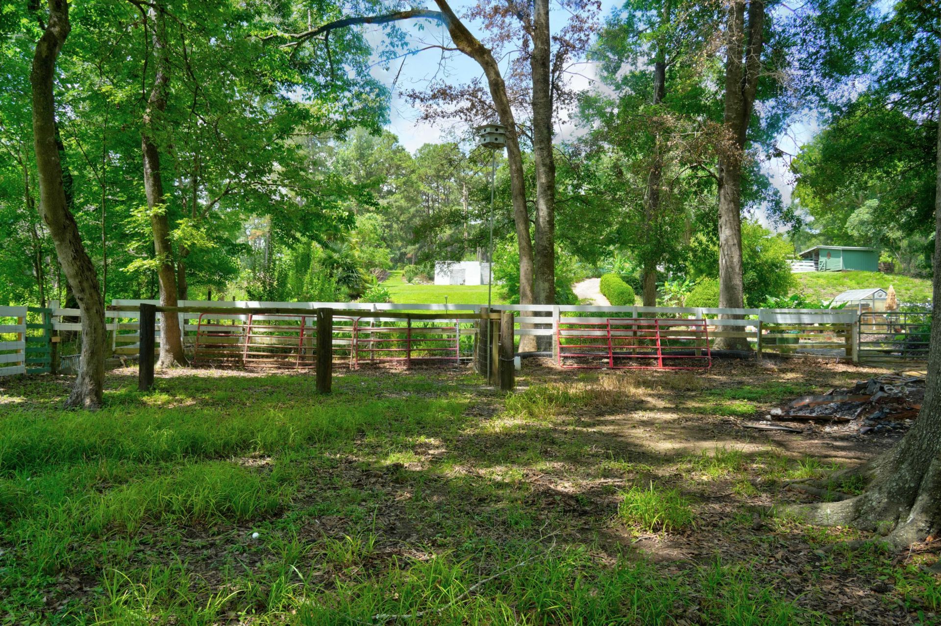 118 Sellars Circle Photo 49