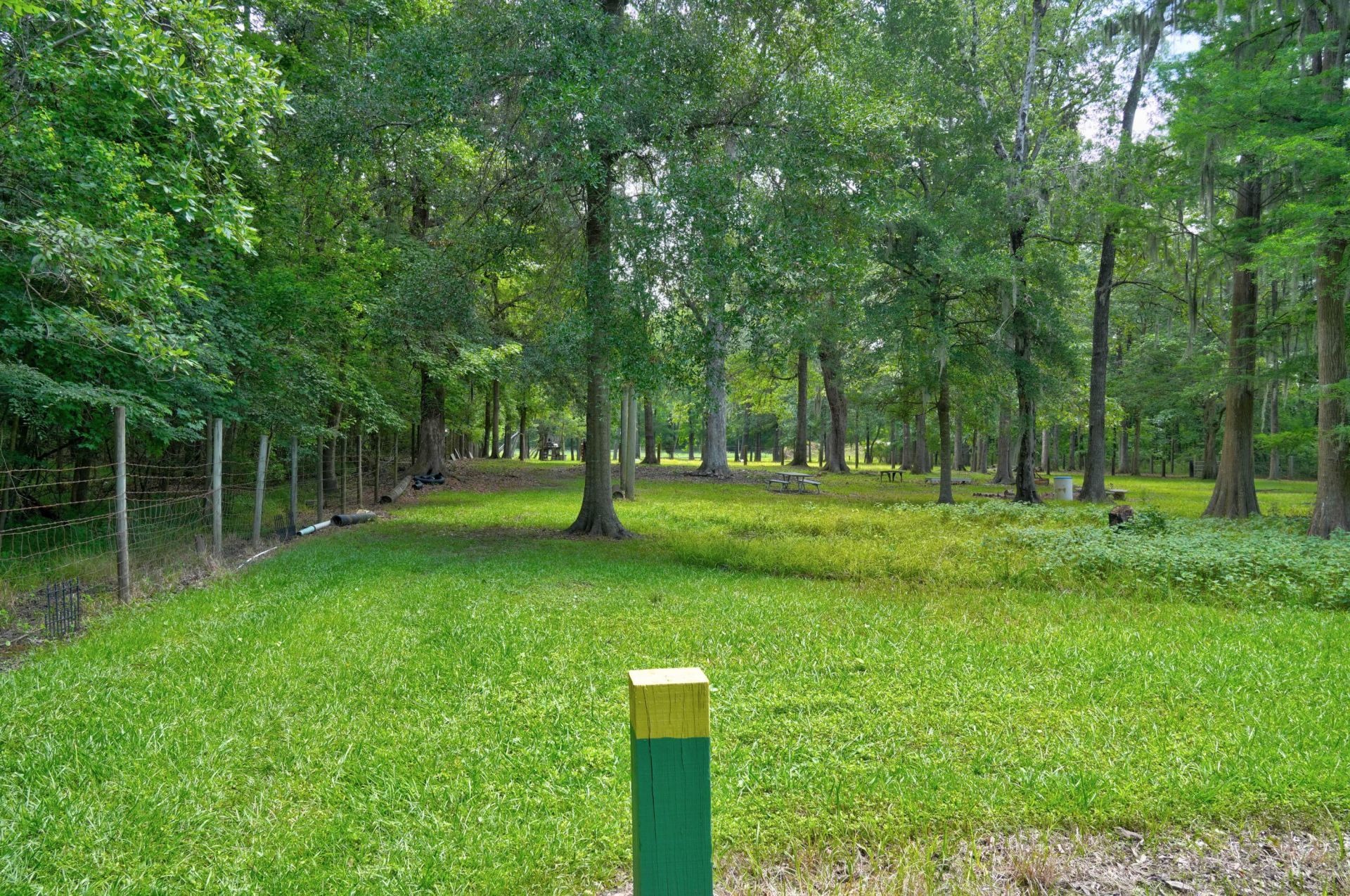 118 Sellars Circle Photo 51