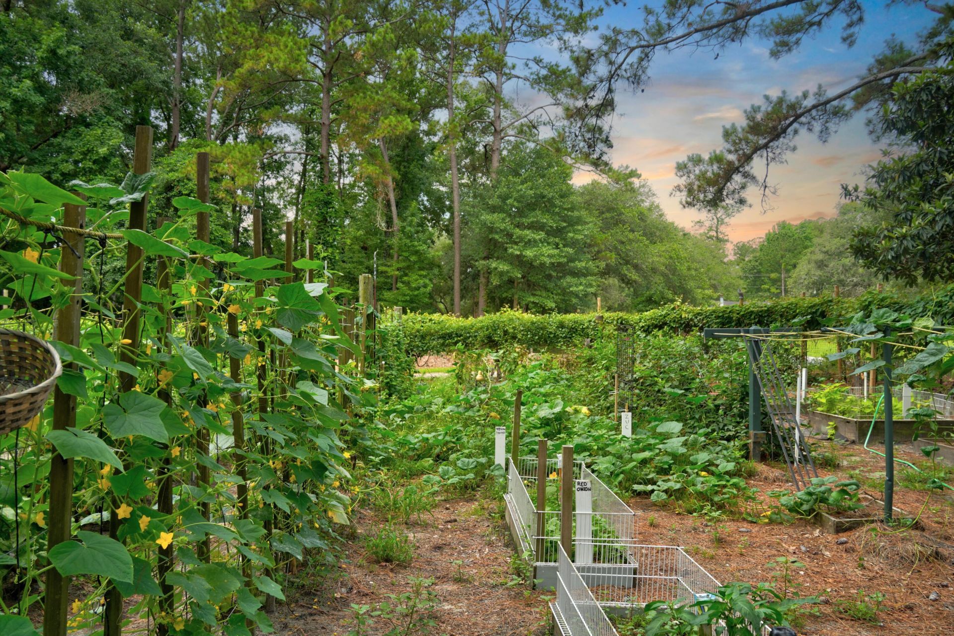 118 Sellars Circle Photo 7