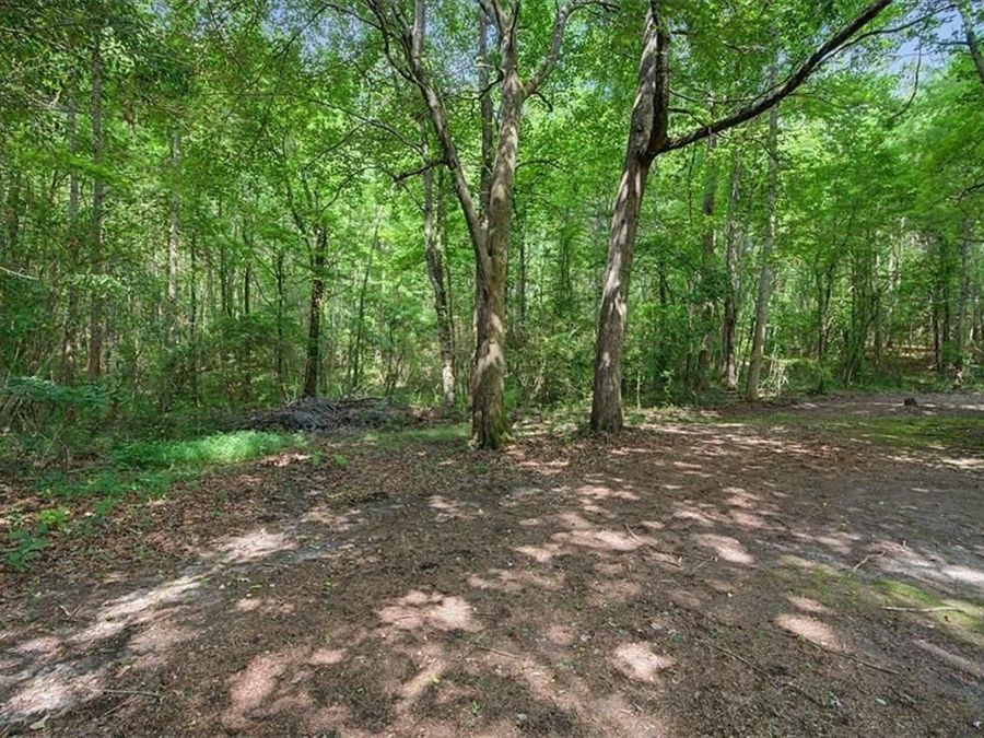 Property Image 67
