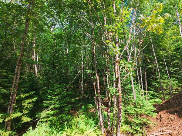-- Oregon Road, Concord, VT 05824
