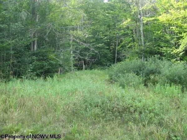 Lot 3 Northlake Drive, Davis, WV 26260