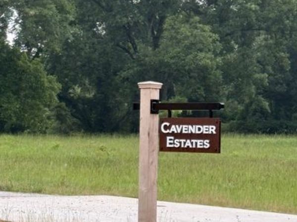0 Bob Smith Road, Unit 4, Sharpsburg, GA 30277