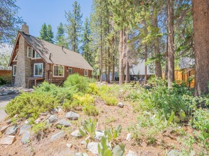 952 Linda Avenue, South Lake Tahoe, CA 96150 Photo