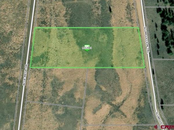 1411 Slumgullion Trail, Powderhorn, CO 81243