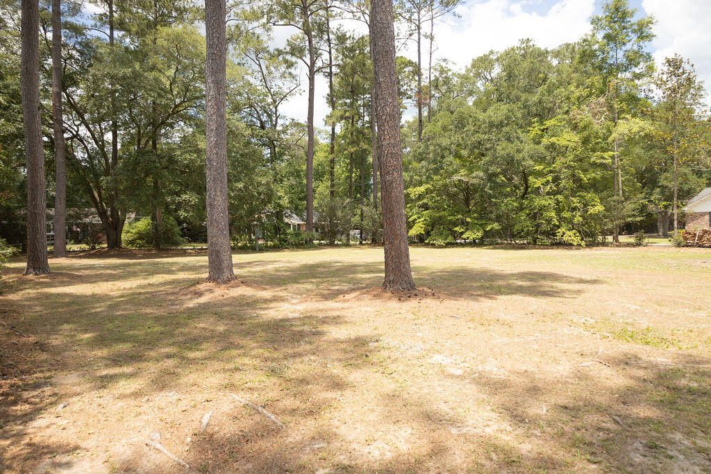 210 Jasmine Drive Photo 35
