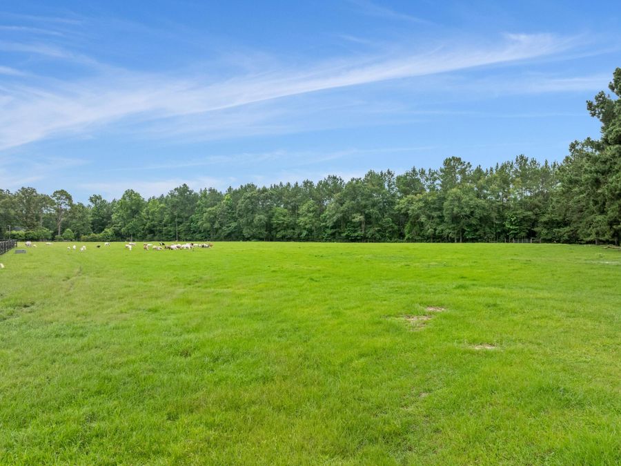 Property Image 67