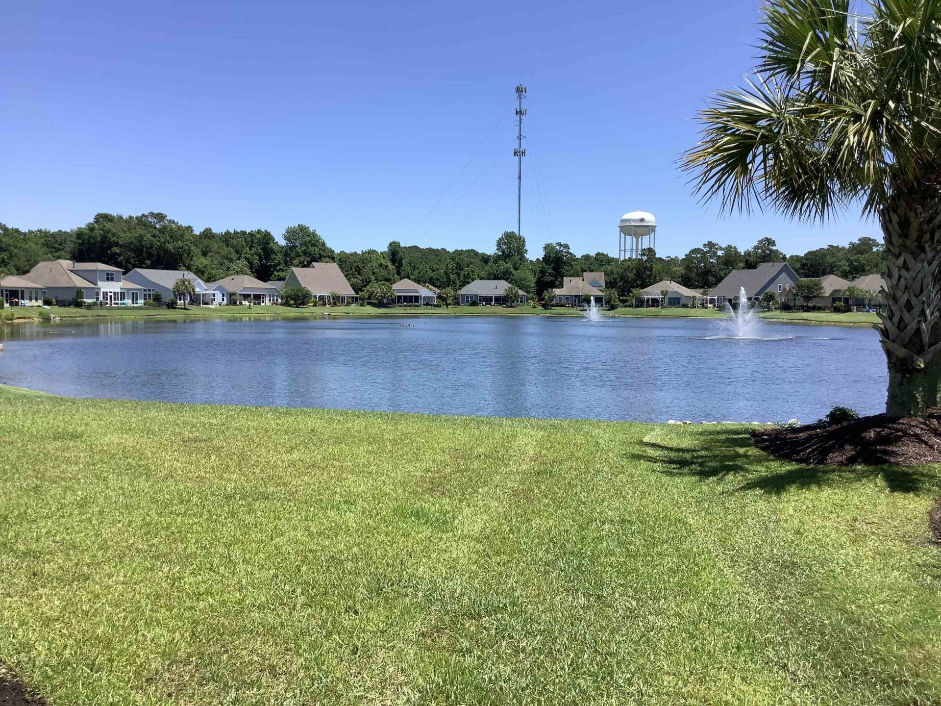 441 Hyacinth Loop Photo 43
