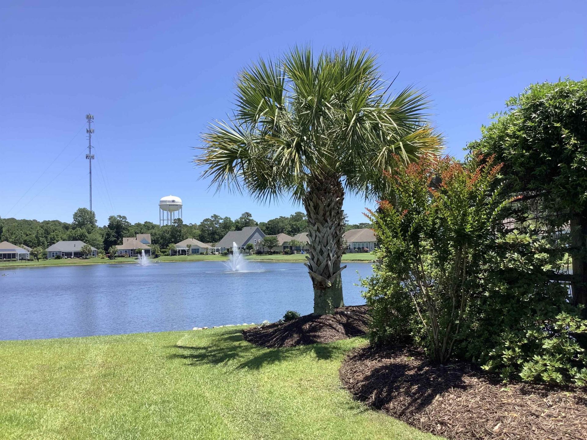 441 Hyacinth Loop Photo 46