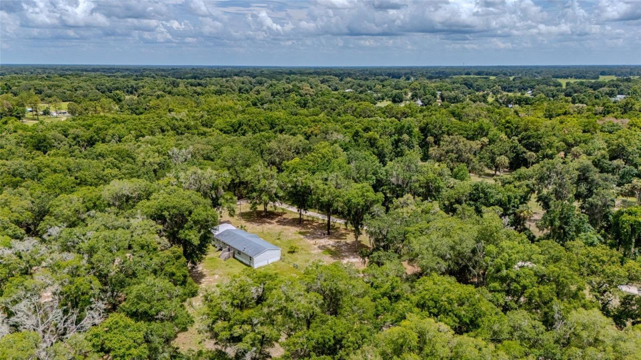 19050 NE 3rd Court , Citra, FL 32113 Photo